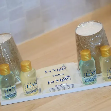 La Vigie - Face A La 酒店 3*
